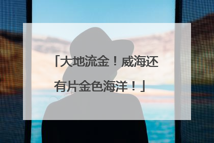 大地流金！威海还有片金色海洋！