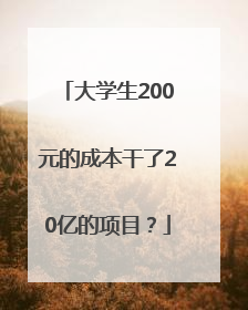 大学生200元的成本干了20亿的项目？