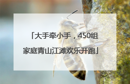 大手牵小手，450组家庭青山江滩欢乐开跑