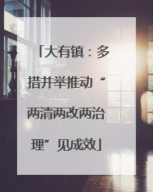 大有镇：多措并举推动“两清两改两治理”见成效