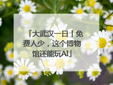 大武汉一日丨免费人少，这个博物馆还能玩AI