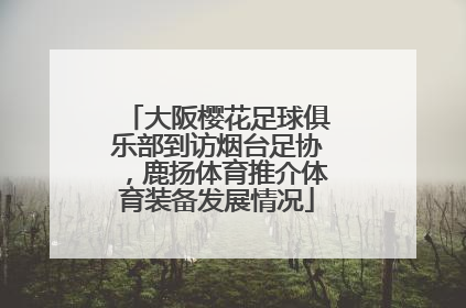 大阪樱花足球俱乐部到访烟台足协，鹿扬体育推介体育装备发展情况