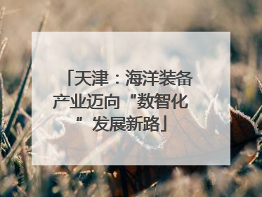 天津：海洋装备产业迈向“数智化”发展新路