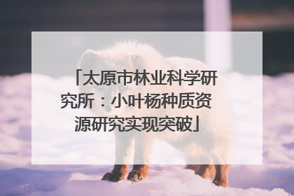 太原市林业科学研究所：小叶杨种质资源研究实现突破