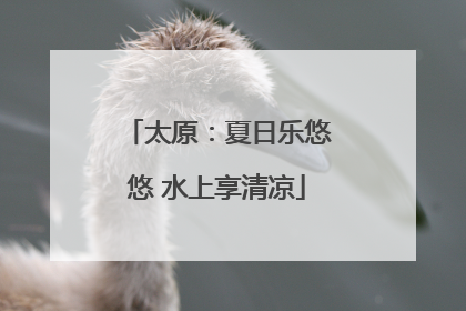 太原：夏日乐悠悠 水上享清凉
