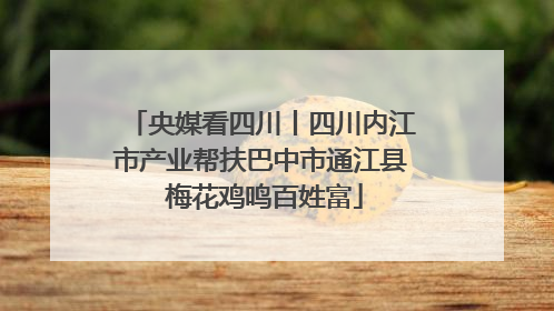 央媒看四川丨四川内江市产业帮扶巴中市通江县 梅花鸡鸣百姓富