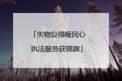 失物复得暖民心 执法服务获锦旗