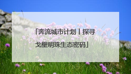 奔流城市计划丨探寻戈壁明珠生态密码