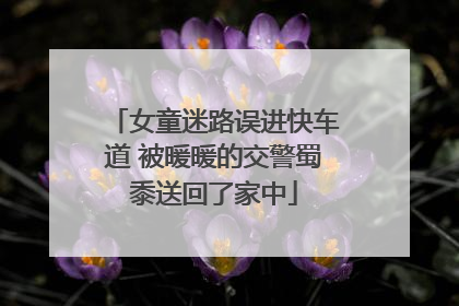 女童迷路误进快车道 被暖暖的交警蜀黍送回了家中