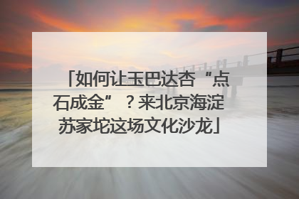 如何让玉巴达杏“点石成金”？来北京海淀苏家坨这场文化沙龙