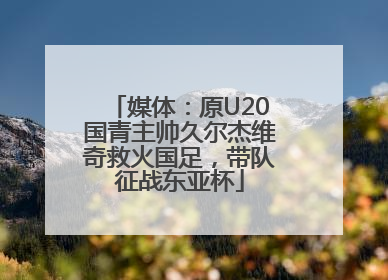 媒体：原U20国青主帅久尔杰维奇救火国足，带队征战东亚杯