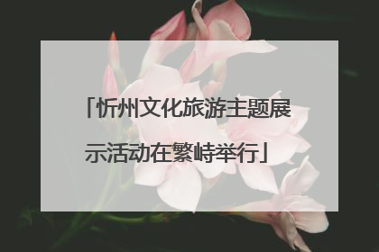 忻州文化旅游主题展示活动在繁峙举行