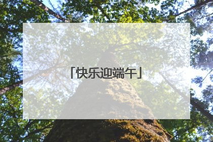快乐迎端午