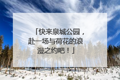 快来泉城公园，赴一场与荷花的浪漫之约吧！