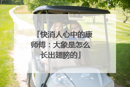 快消人心中的康师傅：大象是怎么长出翅膀的