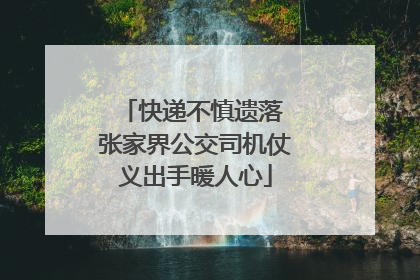 快递不慎遗落 张家界公交司机仗义出手暖人心