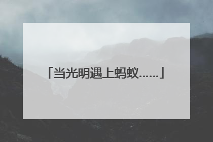 当光明遇上蚂蚁……