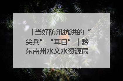当好防汛抗洪的“尖兵”“耳目”｜黔东南州水文水资源局全员出动为此轮强降雨做好测报工作
