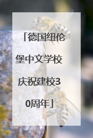 德国纽伦堡中文学校庆祝建校30周年