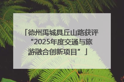 德州禹城具丘山路获评“2025年度交通与旅游融合创新项目”