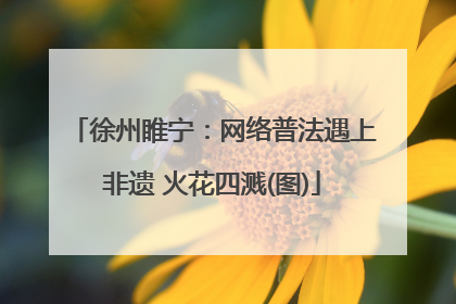 徐州睢宁：网络普法遇上非遗 火花四溅(图)