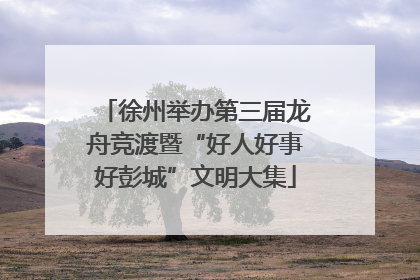 徐州举办第三届龙舟竞渡暨“好人好事好彭城”文明大集