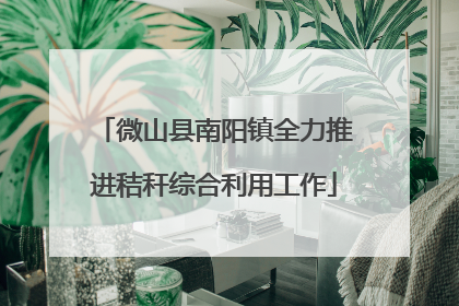 微山县南阳镇全力推进秸秆综合利用工作