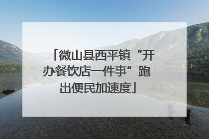 微山县西平镇“开办餐饮店一件事”跑出便民加速度