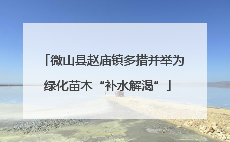 微山县赵庙镇多措并举为绿化苗木“补水解渴”