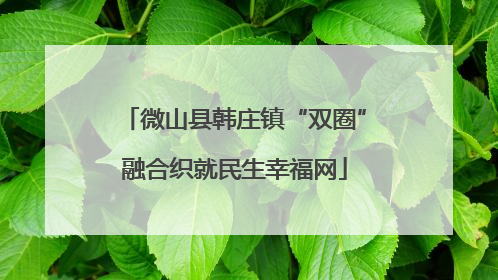 微山县韩庄镇“双圈”融合织就民生幸福网