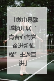 微山县驩城镇开展“青春心向党 奋进新征程”主题宣讲