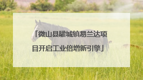 微山县驩城镇易兰达项目开启工业倍增新引擎