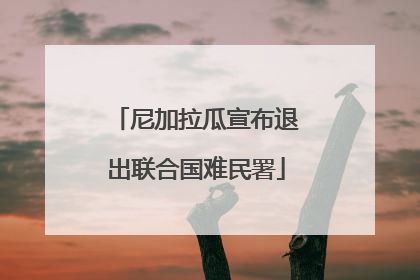 尼加拉瓜宣布退出联合国难民署
