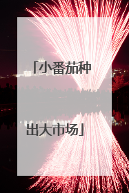 小番茄种出大市场