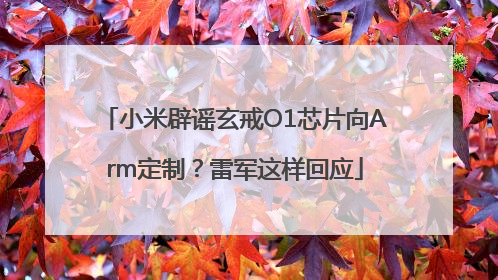 小米辟谣玄戒O1芯片向Arm定制？雷军这样回应