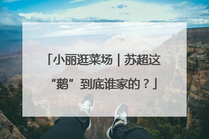 小丽逛菜场｜苏超这“鹅”到底谁家的？
