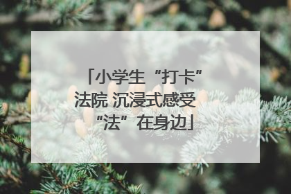 小学生“打卡”法院 沉浸式感受“法”在身边