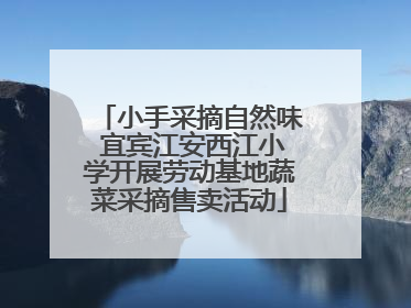 小手采摘自然味 宜宾江安西江小学开展劳动基地蔬菜采摘售卖活动
