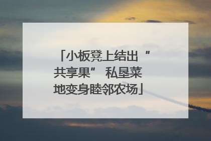 小板凳上结出“共享果” 私垦菜地变身睦邻农场