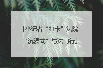 小记者“打卡”法院 “沉浸式”与法同行