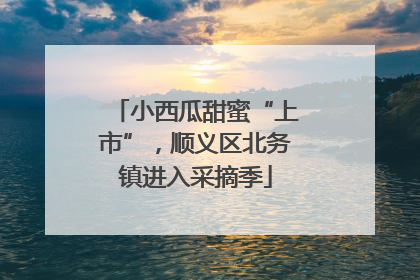 小西瓜甜蜜“上市”，顺义区北务镇进入采摘季