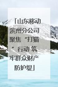 山东移动滨州分公司聚焦“打猫”行动 筑牢群众财产防护堤