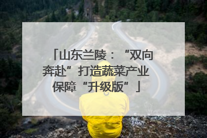 山东兰陵：“双向奔赴”打造蔬菜产业保障“升级版”