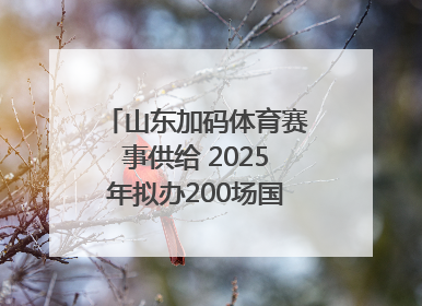 山东加码体育赛事供给 2025年拟办200场国家级以上赛事