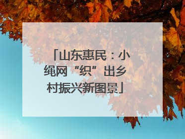 山东惠民：小绳网“织”出乡村振兴新图景