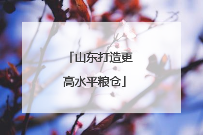 山东打造更高水平粮仓