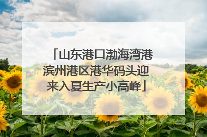 山东港口渤海湾港滨州港区港华码头迎来入夏生产小高峰