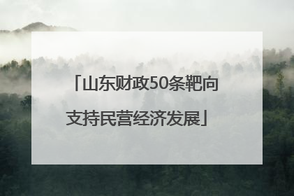 山东财政50条靶向支持民营经济发展