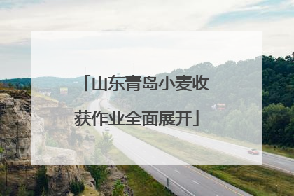 山东青岛小麦收获作业全面展开