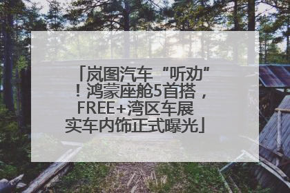 岚图汽车“听劝”！鸿蒙座舱5首搭，FREE+湾区车展实车内饰正式曝光